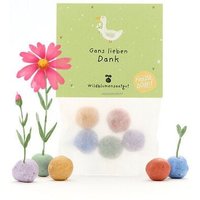 Die Stadtgärtner 5 bunte Blumenmurmeln im Tütchen mit Wildblumensaatgut | Als Gastgeschenk, Dankeschön & kleine Aufmerksamkeit Die Stadtgärtner 5 bunte Blumenmurmeln im Tütchen mit Wildblumensaatgut | Als Gastgeschenk, Dankeschön & kleine Aufmerksamkeit
