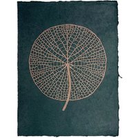 Veskor Cassiopeia VICTORIA AMAZONICA Seerosenblatt Linoldruck | 37 x 50 cm | Kupfer auf Waldgrün