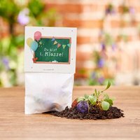 Die Stadtgärtner 5 bunte Blumenmurmeln im Tütchen mit Wildblumensaatgut | Geschenkidee zur Einschulung, Schulanfang, für Schultüte |  Die Stadtgärtner 5 bunte Blumenmurmeln im Tütchen mit Wildblumensaatgut | Geschenkidee zur Einschulung, Schulanfang, für Schultüte |