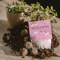 Ideenverlag Hamburg 10 „Einhorn“ Samenbomben im Tütchen mit Wildblumensaatgut | Nachhaltiges Mitgebsel für Kindergeburtstage & magisches Naturgeschenk für kleine Träumer:innen Ideenverlag Hamburg 10 „Einhorn“ Samenbomben im Tütchen mit Wildblumensaatgut | Nachhaltiges Mitgebsel für Kindergeburtstage & magisches Naturgeschenk für kleine Träumer:innen