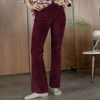 NORDLICHT Jersey Cord Hose Lilja