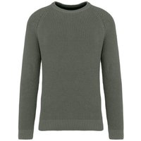 Greenspired Umweltfreundlicher Raglanpullover in Grobstrick 730g/m² S - 3XL