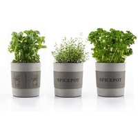 URBANATURE Beton Übertopf SPICEPOT