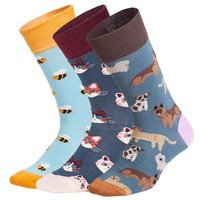 DillySocks Socken „Cute Animal Crew (3er Box)“