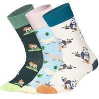 DillySocks Socken „Animal Adventures (3er Box)“