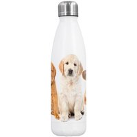 Dora's Dora’s Edelstahl-Thermoflasche "Hund" (500ml) – Doppelwandig