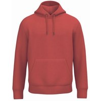 Brandless Basic Bio Hoody Nr. 4 350g/m² XXS - 4 XL (slim fit)