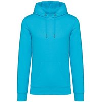 Brandless Basic Bio Hoody Nr. 4 350g/m² XXS - 4 XL (slim fit)