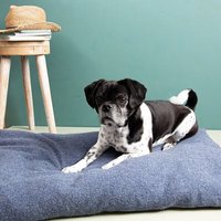 nahtur-design Hunde- & Katzenkissen mit Dinkelspelz – Wendebezug aus Wolle & Bioleinen