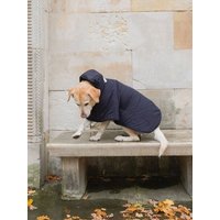 New Orchard Dog Hoodie Navy, Rot, Blau