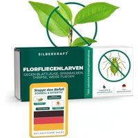 Silberkraft Florfliegenlarven gegen Blattläuse, Woll- & Schmierläuse, Spinnmilben, Thripse & weiße Fliegen