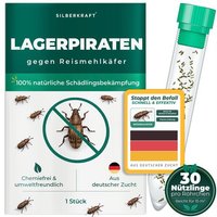 Silberkraft Lagerpiraten gegen Reismehlkäfer (Raubwanze Xylocoris Xylocoris flavipes)