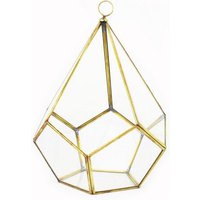 Mitienda Shop Geometrisches Terrarium aus Glas - Pentagonale - für Sukkulenten