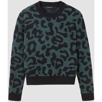 Damen Strickpullover aus Baumwolle - PISTIA LEO - recolution