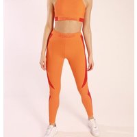 Bodyguard Tight - Volcano - Legging