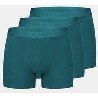 erlich textil Casual Cotton Pants im 3er Pack, enge Boxershorts mit 95% Baumwolle (aus kontrolliert biologischem Anbau), made in Europe