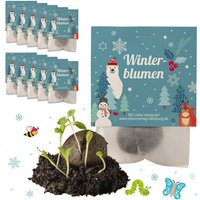 Ideenverlag Hamburg 10 Winterblumen Samenbomben mit Klatschmohn & Kornblume | Kaltkeimer für Herbst & Winter | plastikfreies Geschenk für Advent & Weihnachten