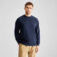 DEDICATED Sweatshirt Malmoe Base aus Bio-Baumwolle