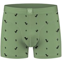 A-Dam Boxer Briefs 8Bit Dino