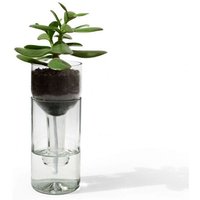 Side by Side Self Watering Bottle / Blumenbewässerungssystem