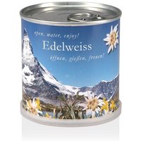 MacFlowers Pflanzen in der Dose - Edelweiss MacFlowers Pflanzen in der Dose - Edelweiss