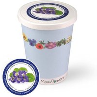 MacFlowers Blumen im Becher TO GROW - Veilchen MacFlowers Blumen im Becher TO GROW - Veilchen