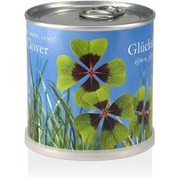 MacFlowers Pflanzen in der Dose - Glücksklee MacFlowers Pflanzen in der Dose - Glücksklee