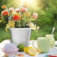 NATUREHOME Blumentopf Übertopf Keramik Weiß Anthrazit NATUREHOME Blumentopf Übertopf Keramik Weiß Anthrazit