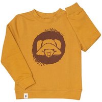 päfjes Benno Bär - Kinder Bio Sweater - Organic Cotton - Gelb