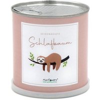 MacFlowers Pflanzen in der Dose - Faultier Schlafbaum - Blumen Geschenk MacFlowers Pflanzen in der Dose - Faultier Schlafbaum - Blumen Geschenk