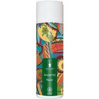 Bioturm Shampoo Repair Nr. 103