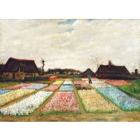 Photocircle Poster / Leinwandbild - Vincent Van Gogh: Blumenbeete in Holland
