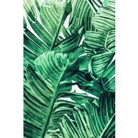 Photocircle Poster / Leinwandbild - Tropical State of Mind