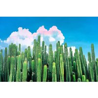 Photocircle Poster / Leinwandbild - Cactus Summer