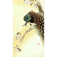 Photocircle Poster / Leinwandbild - Pfau auf einem Kirschblütenbaum von Ohara Koson