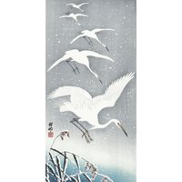 Photocircle Poster / Leinwandbild - Reiher im Landeanflug im Schnee