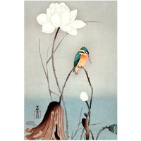 Photocircle Poster / Leinwandbild - Vintage Illustration Eisvogel