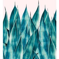 Photocircle Poster / Leinwandbild - Summer Agave