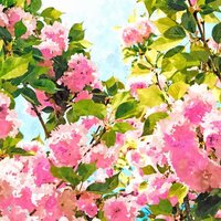 Photocircle Poster / Leinwandbild - Day dreaming under the blooming Bougainvilla