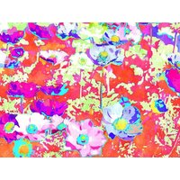 Photocircle Poster / Leinwandbild - Floral Ecstasy