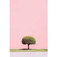 Photocircle Poster / Leinwandbild - Orange Tree