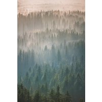 Photocircle Poster / Leinwandbild - Oregon Forest Fog