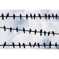 Photocircle Poster / Leinwandbild - Birds Eye View