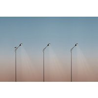 Photocircle Poster / Leinwandbild - Three + One