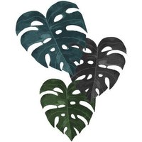Photocircle Poster / Leinwandbild - Monstera