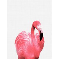 Photocircle Poster / Leinwandbild - Flamingo