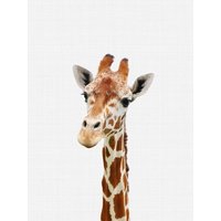 Photocircle Poster / Leinwandbild - Giraffe