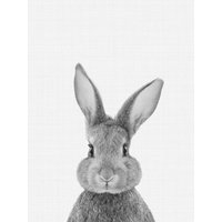 Photocircle Poster / Leinwandbild - Rabbit (Black and White)