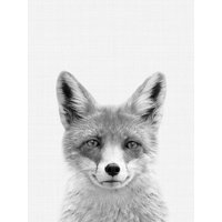 Photocircle Poster / Leinwandbild - Fox (Black and White)