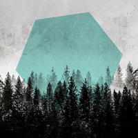 Photocircle Poster / Leinwandbild - Woods 3